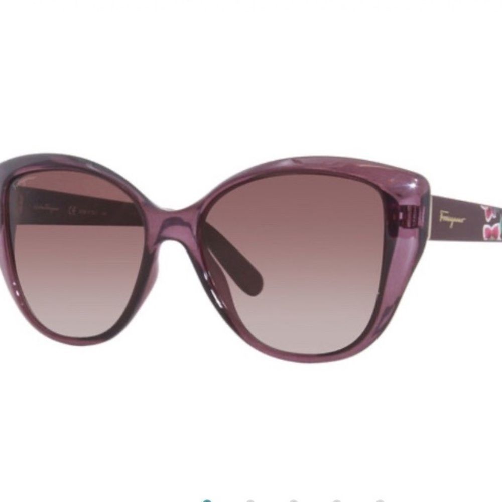 Salvatore Ferragamo Women’s Sunglasses